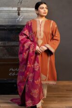 Kokum - 3pcs Dhanak Embroidered With Printed Wool Shawl - Hit
