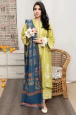 A sling - 3pcs Dhanak Embroidered With Printed Wool Shawl - 636