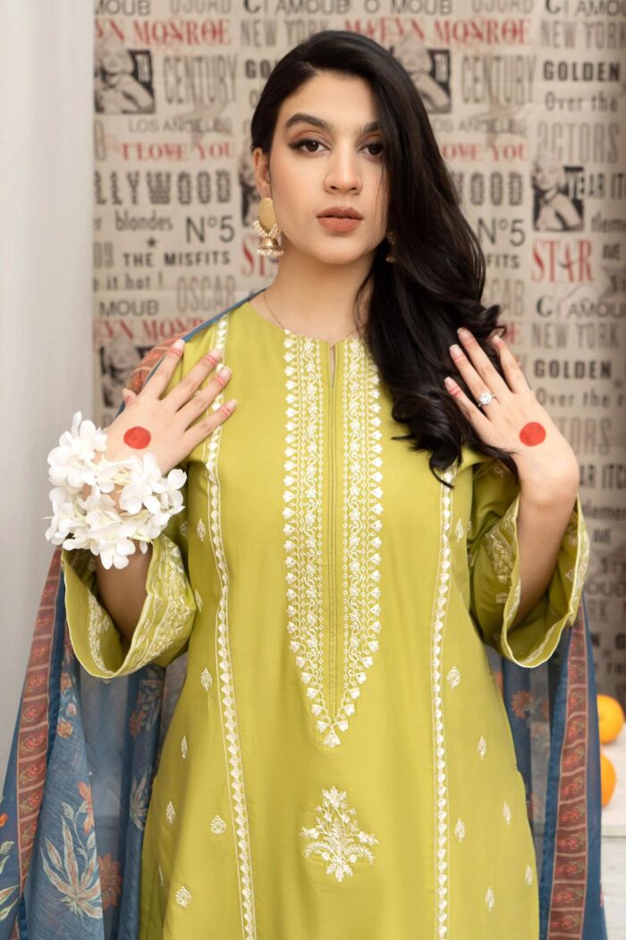 A sling - 3pcs Dhanak Embroidered With Printed Wool Shawl - 636 - Image 3