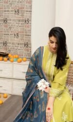 A sling - 3pcs Dhanak Embroidered With Printed Wool Shawl - 636 - Image 2