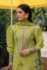 Rang Rasiya – 3pcs Chicken Kari Lawn Emb With Ready To Wear Tarkashi Dupatta – 184 - Image 4
