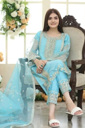 Sapphire 3pcs Dhanak Embroidered With Dhanak Emb Shawl - 3133