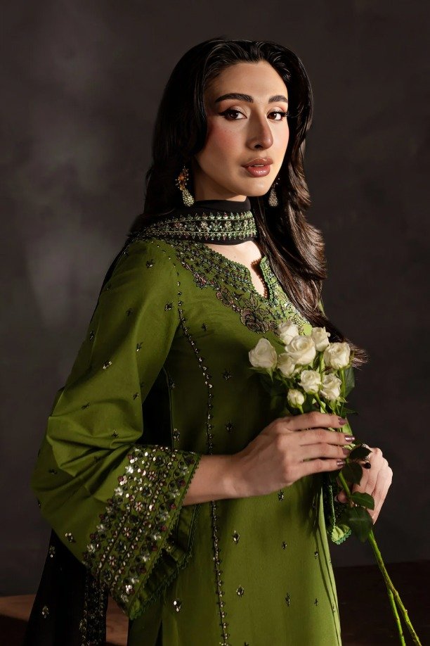 httpsdivinjaipur.comproductsdastaan-e-neelum-a-royal-chronicle-woven-in-midnight-and-gold-suit (2) (1)