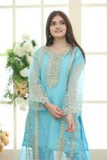 Sapphire 3pcs Dhanak Embroidered With Dhanak Emb Shawl - 3133 - Image 3
