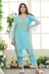 httpsdivinjaipur.comproductsdastaan-e-neelum-a-royal-chronicle-woven-in-midnight-and-gold-suit (1) (1)