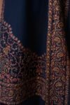 httpsdivinjaipur.comproductsdastaan-e-neelum-a-royal-chronicle-woven-in-midnight-and-gold-suit (28)