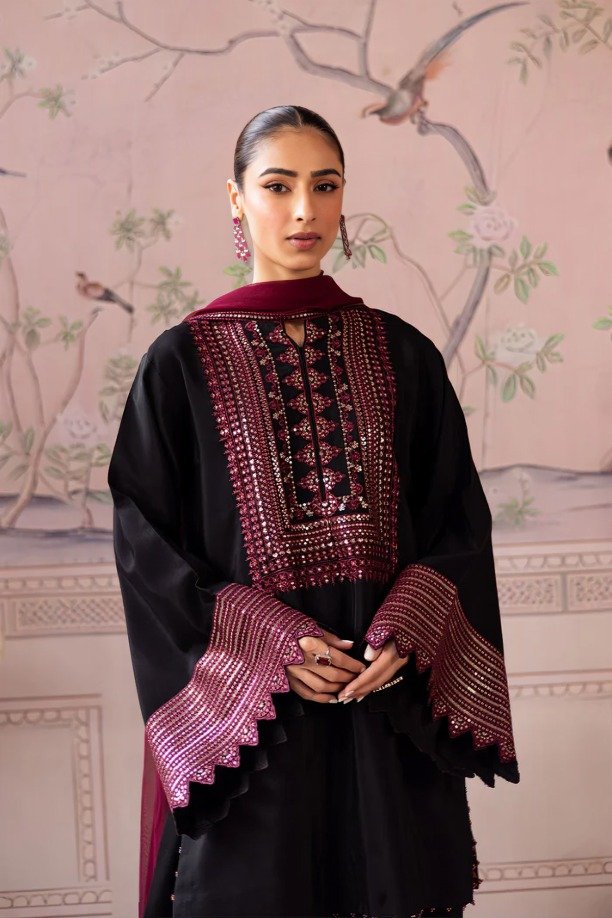 httpsdivinjaipur.comproductsdastaan-e-neelum-a-royal-chronicle-woven-in-midnight-and-gold-suit (3) (3)