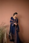 httpsdivinjaipur.comproductsdastaan-e-neelum-a-royal-chronicle-woven-in-midnight-and-gold-suit (28)
