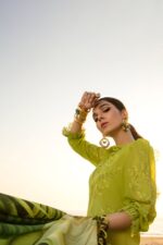 Rang Rasiya - 3pcs Chicken Kari Lawn Emb With Tarkashi Printed Dupatta - 0543 - Image 4