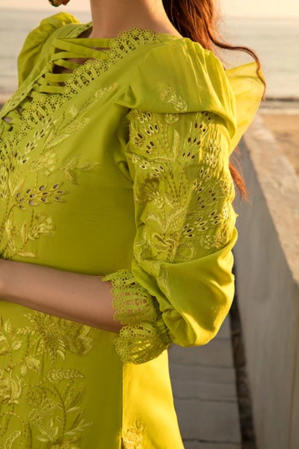 httpsdivinjaipur.comproductsdastaan-e-neelum-a-royal-chronicle-woven-in-midnight-and-gold-suit (39)