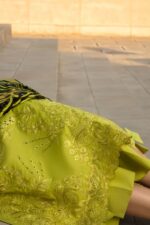 Rang Rasiya - 3pcs Chicken Kari Lawn Emb With Tarkashi Printed Dupatta - 0543 - Image 5