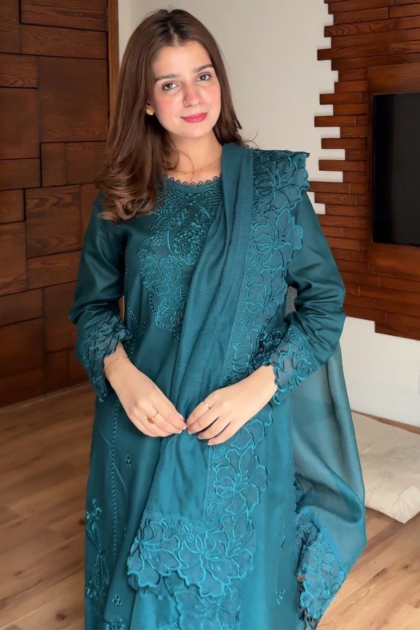 httpsdivinjaipur.comproductsdastaan-e-neelum-a-royal-chronicle-woven-in-midnight-and-gold-suit (42)