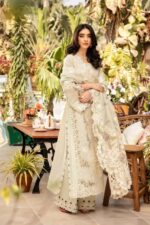 Elaf - 3pcs Chicken Kari Lawn Emb With Ready To Wear Chiffon Dupatta - 51229 - Image 2