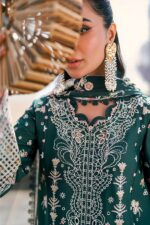 Qalamkar - 3pcs Chicken Kari Lawn Emb With Chiffon Emb Dupatta - 51219 - Image 5