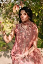 Fiona - 3pcs Chicken Kari Emb Lawn With Khaadi  Net Emb Dupatta - 818 - Image 4