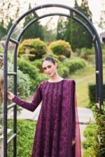 Farasha - 3pcs Dhanak Embroidered With Dhanak Emb Shawl - 3511 - Image 7