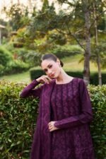 Farasha - 3pcs Dhanak Embroidered With Dhanak Emb Shawl - 3511 - Image 6