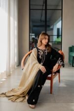 Agha Noor - 3pcs Dhanak Embroidered With Dhanak Emb Shawl - Image 4