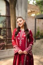 Aneela's - 3pcs Dhanak Embroidered With Dhanak Emb Shawl - 855 - Image 9